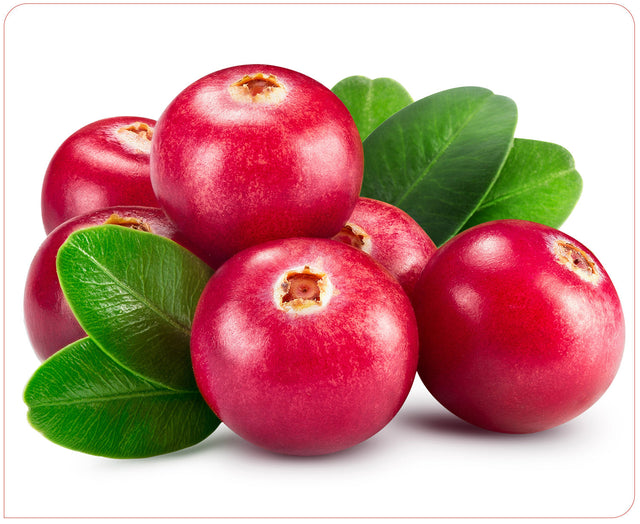 Cranberry 10,000mg 50:1 extract