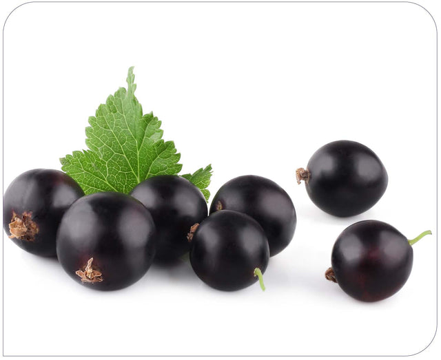 Elderberries