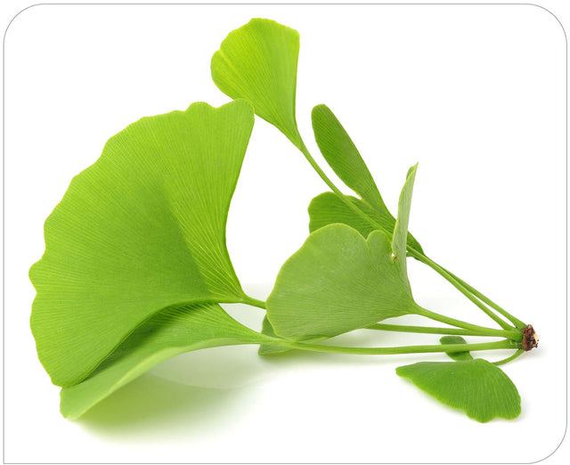 Ginkgo Biloba 30,000mg