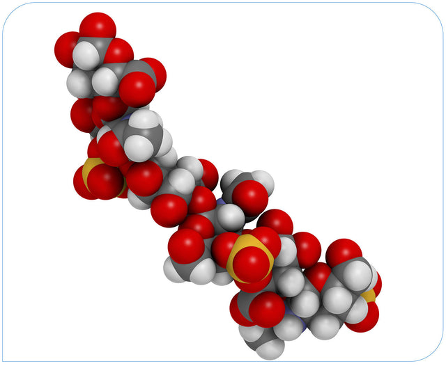 Chondroitin Sulfate 90% 600mg (of marine origin)