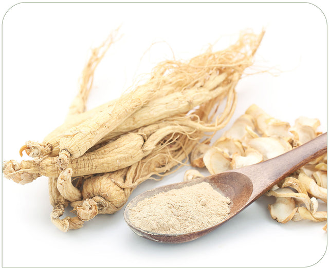 Korean Panax Ginseng 10,000mg