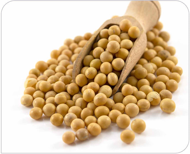 Soy Fibre 50mg