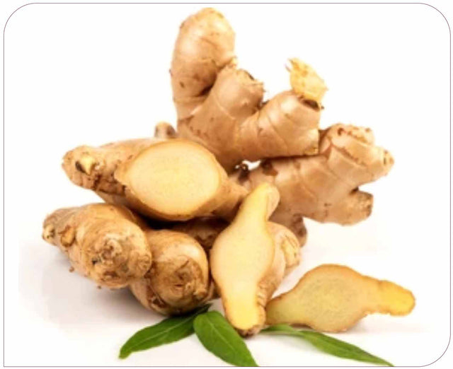 Ginger Extract 150mg (10:1 equivalent to 1500mg)