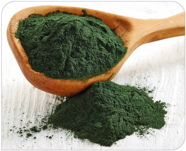 Spirulina Extract 350mg (10:1 equivalent to 3500mg)