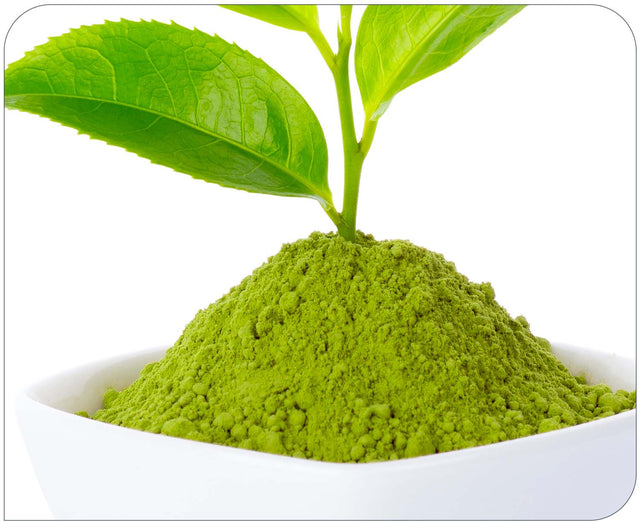 Green Tea Extract 100mg