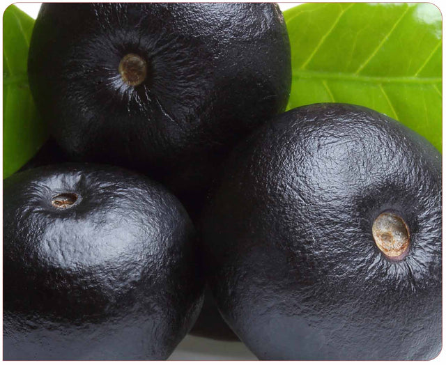 Acai Extract 100mg