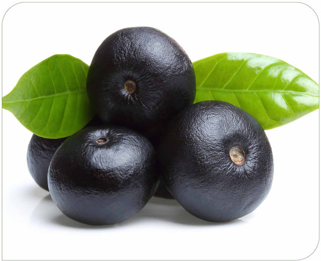 Acai Berry Extract