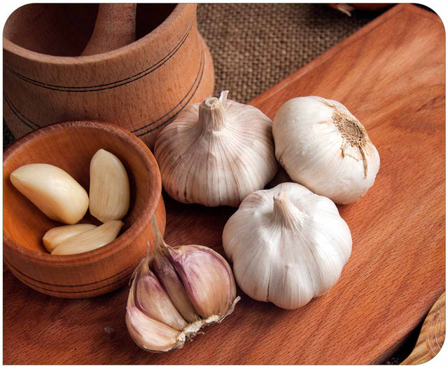 Garlic Extract