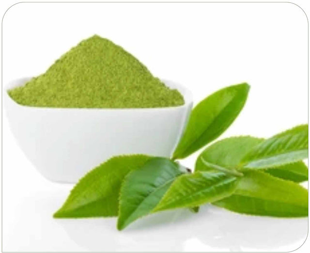 Green Tea Extract