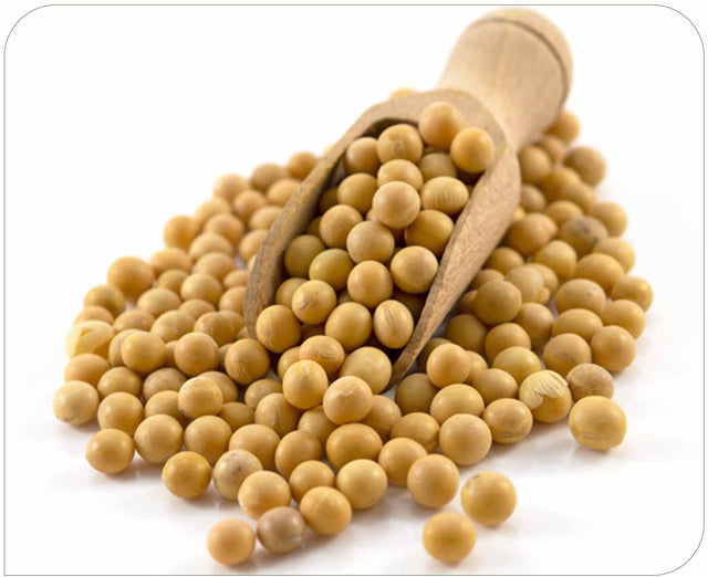 Soybean Isoflavone