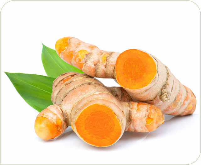 Turmeric Extract 1000mg