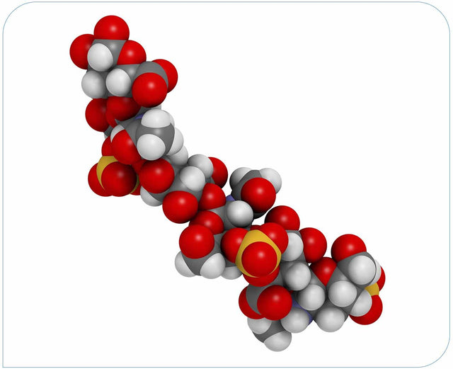 Marine Derived Chondroitin Sulfate 400mg